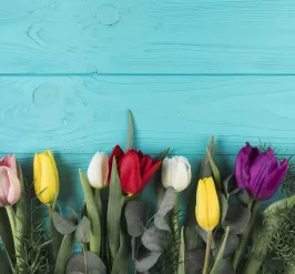 a variety of tulips, eucalyptus and other greenery laying on a teal blue picnic table