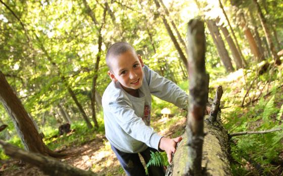 Kid on top of fallen tree