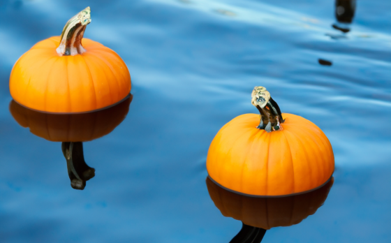 Pumpkin Float in Corning