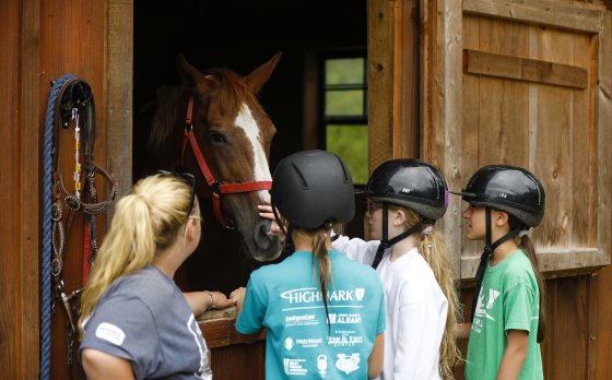 Overnight Camp Meeting Horses