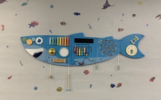 Sensory Room Shark