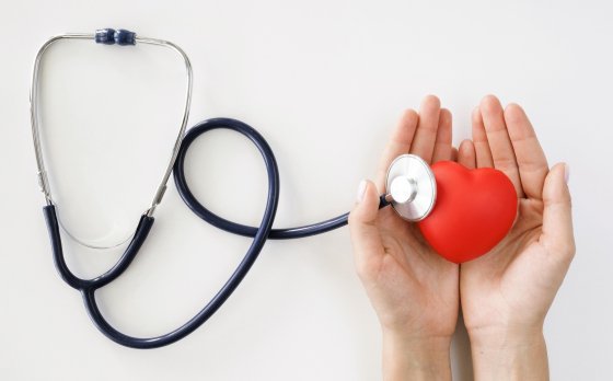 hand holding foam heart with stethoscope 