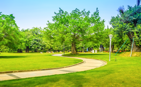 Park with pathway, trees and lamppost 
