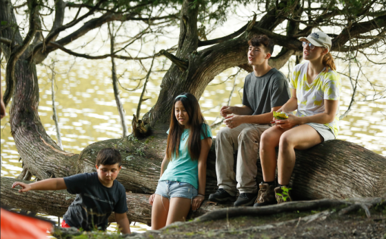 campers sitting on a tree by the lake