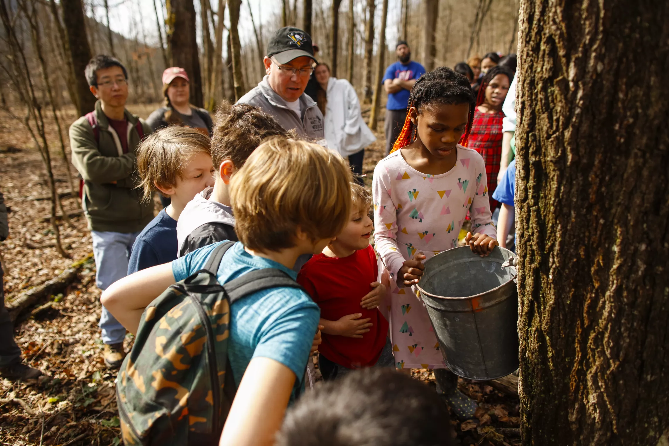 Watson Woods_Maple