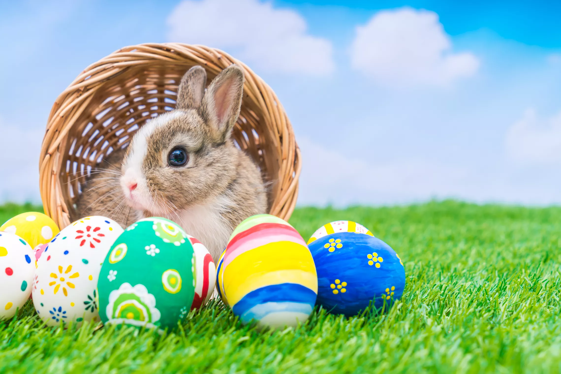 Easter Egg Hunt