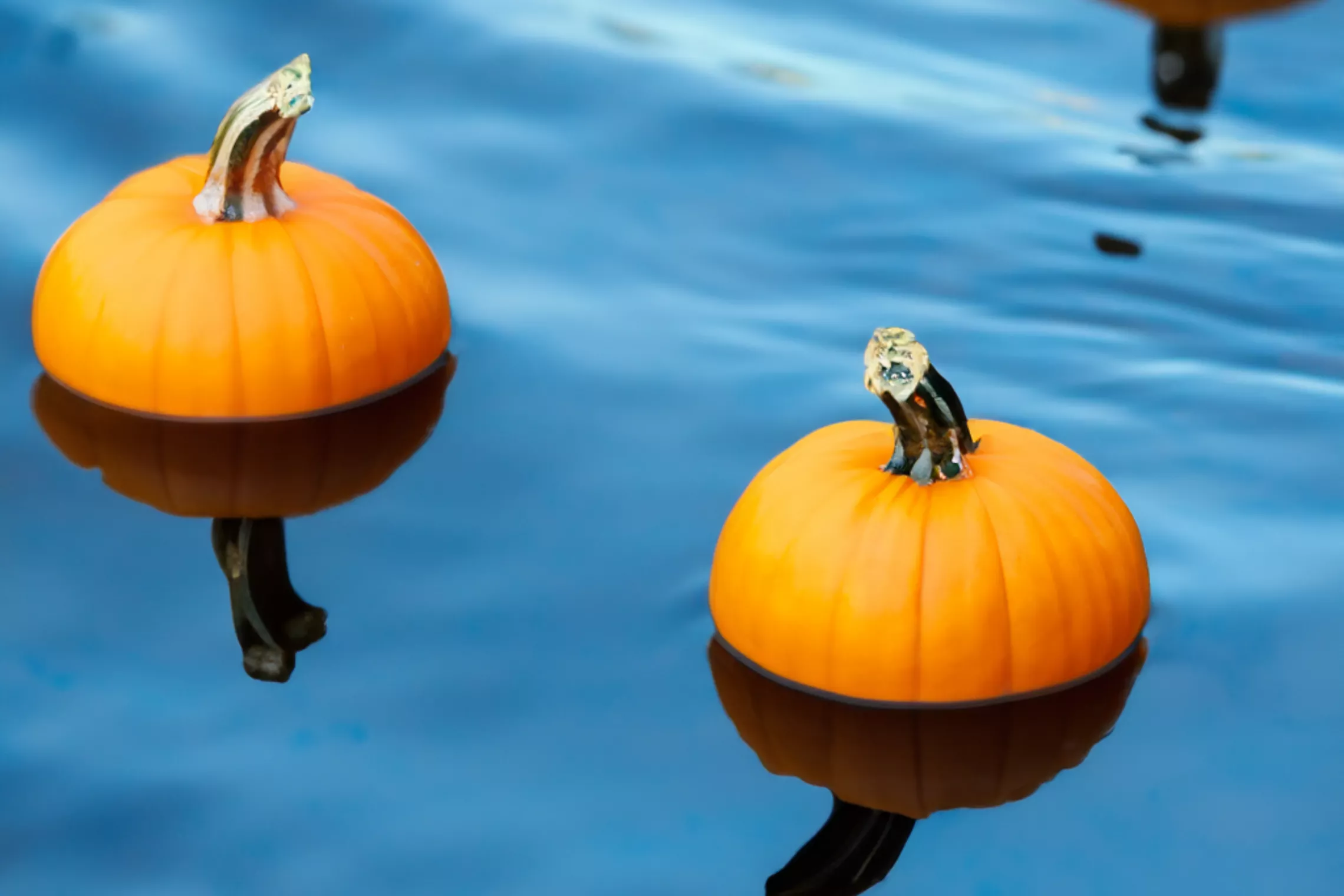 two pumpkins floating in water