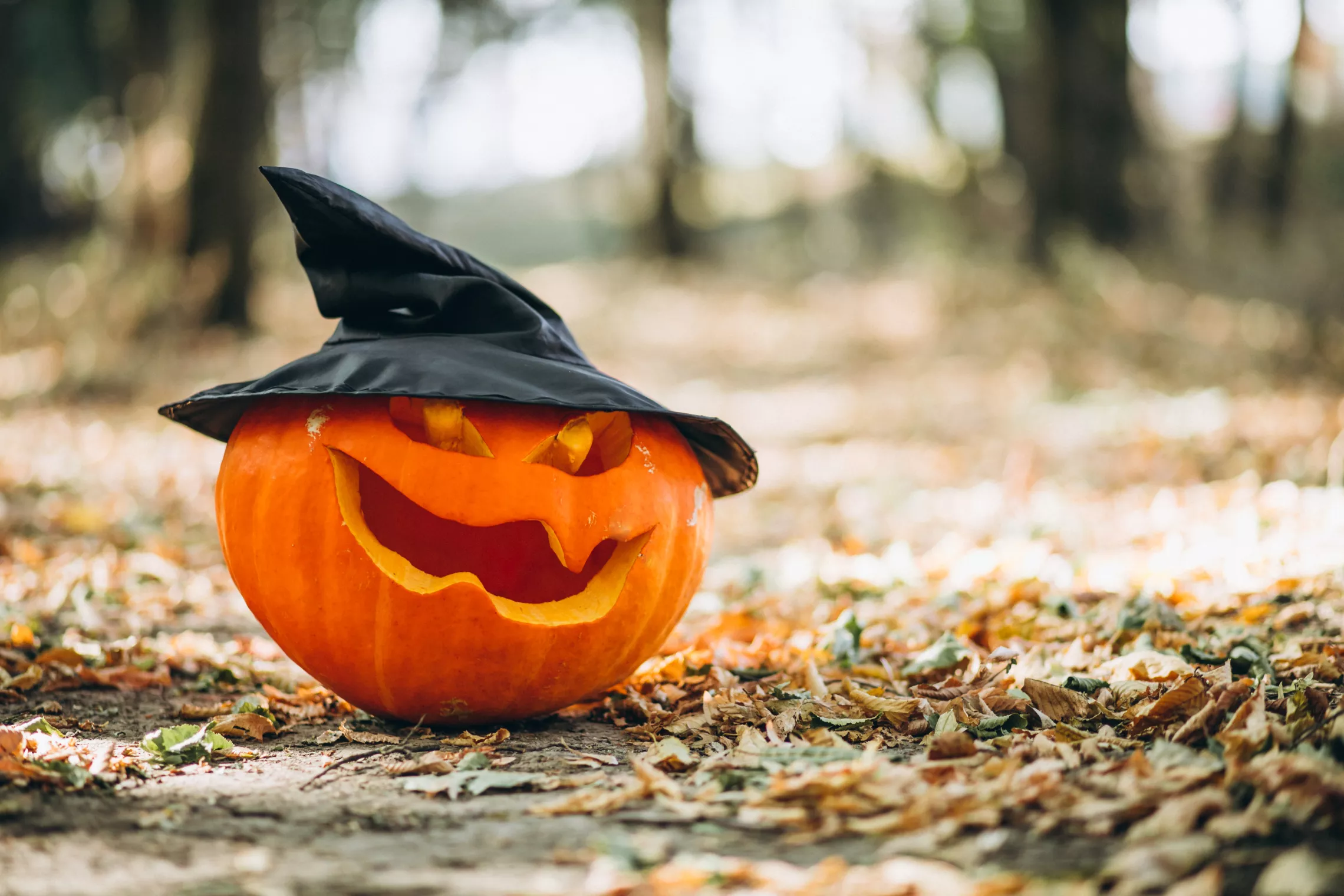 a carved jack o lantern with a black witches hat outside on the ground that is covered in leaves