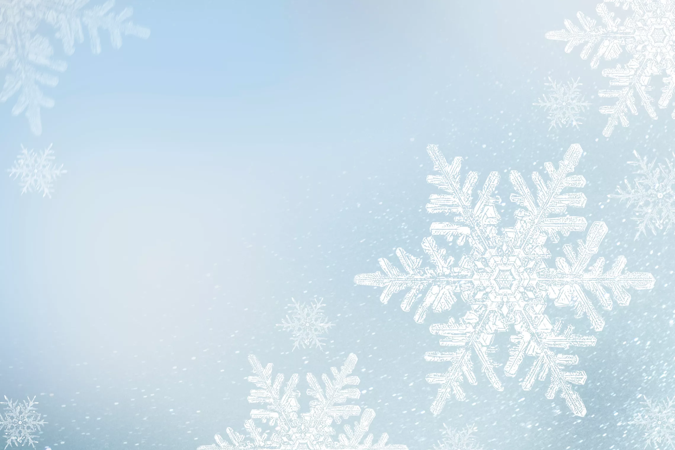 Let It Snow Field Trip