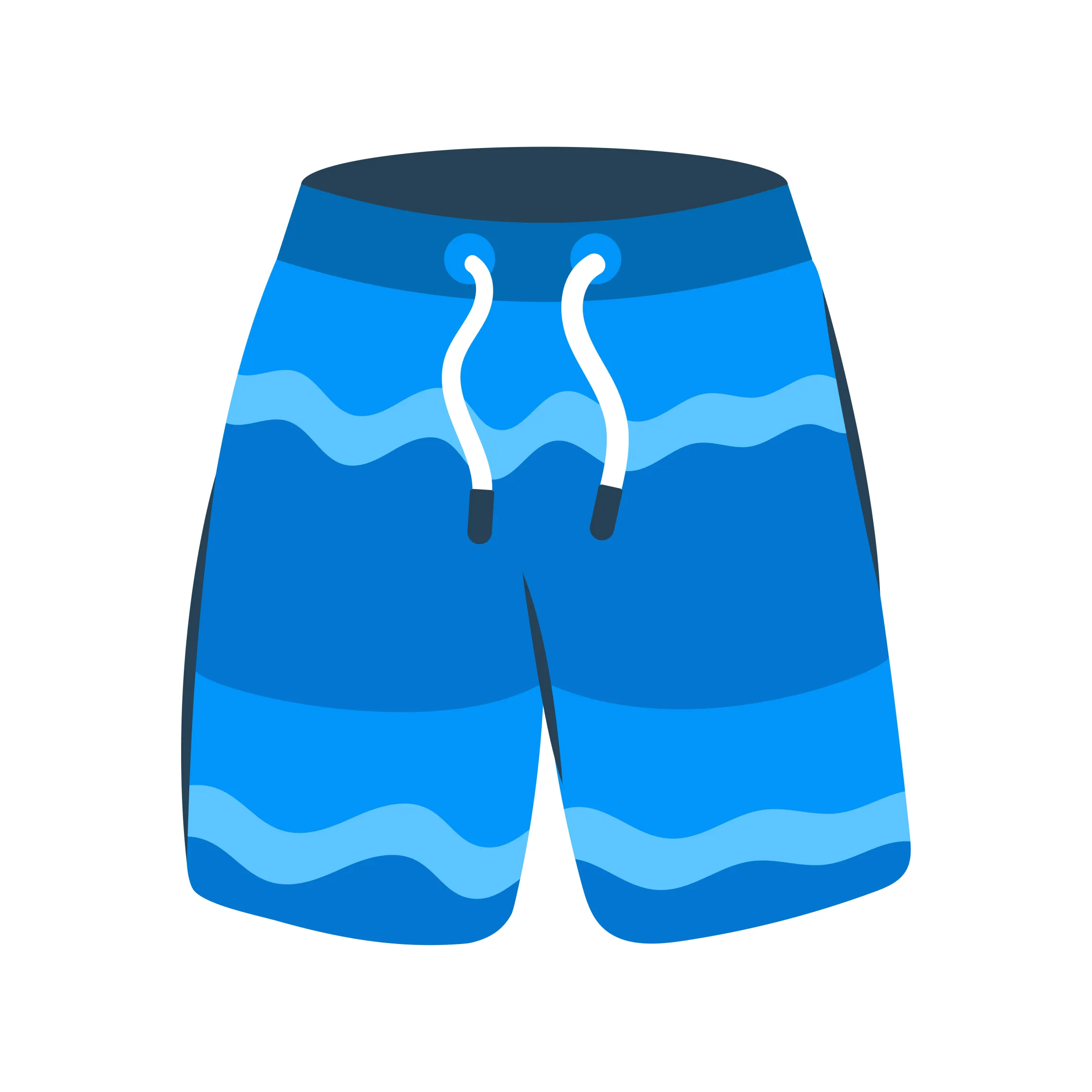 Swim Trunks