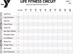 Gym equipment online routine