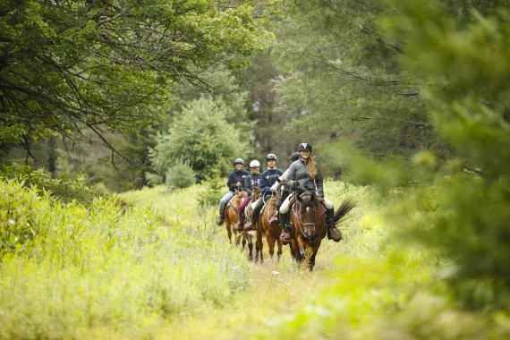 Group of Campers riding horses