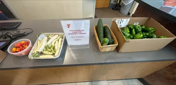 variety of veggies lay out on the table for taking