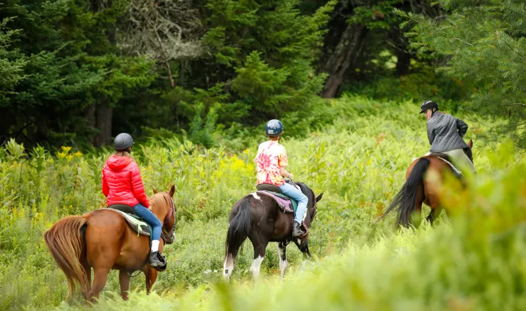 YMCA Camp Gorham, Brighton Partner to Send Kids to Camp