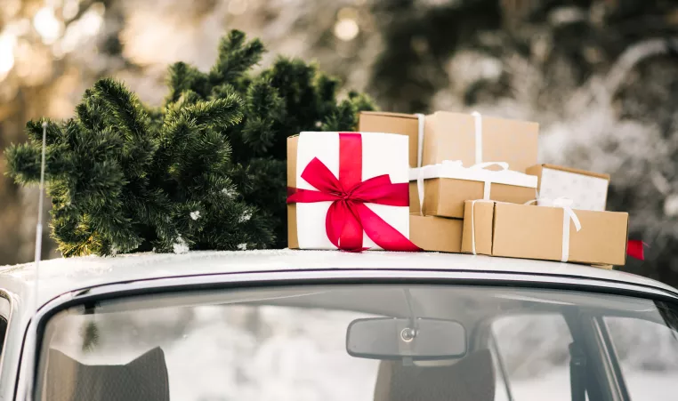 photo of the top of a car with a christmas tree and wrapped gifts on the roof