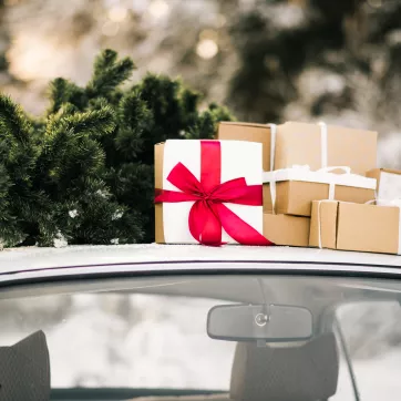 photo of the top of a car with a christmas tree and wrapped gifts on the roof
