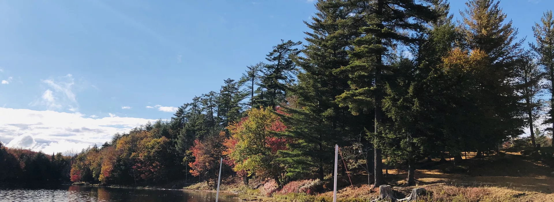 Photo of the lake at Autumn with leaves changes and sailboats in the foreground