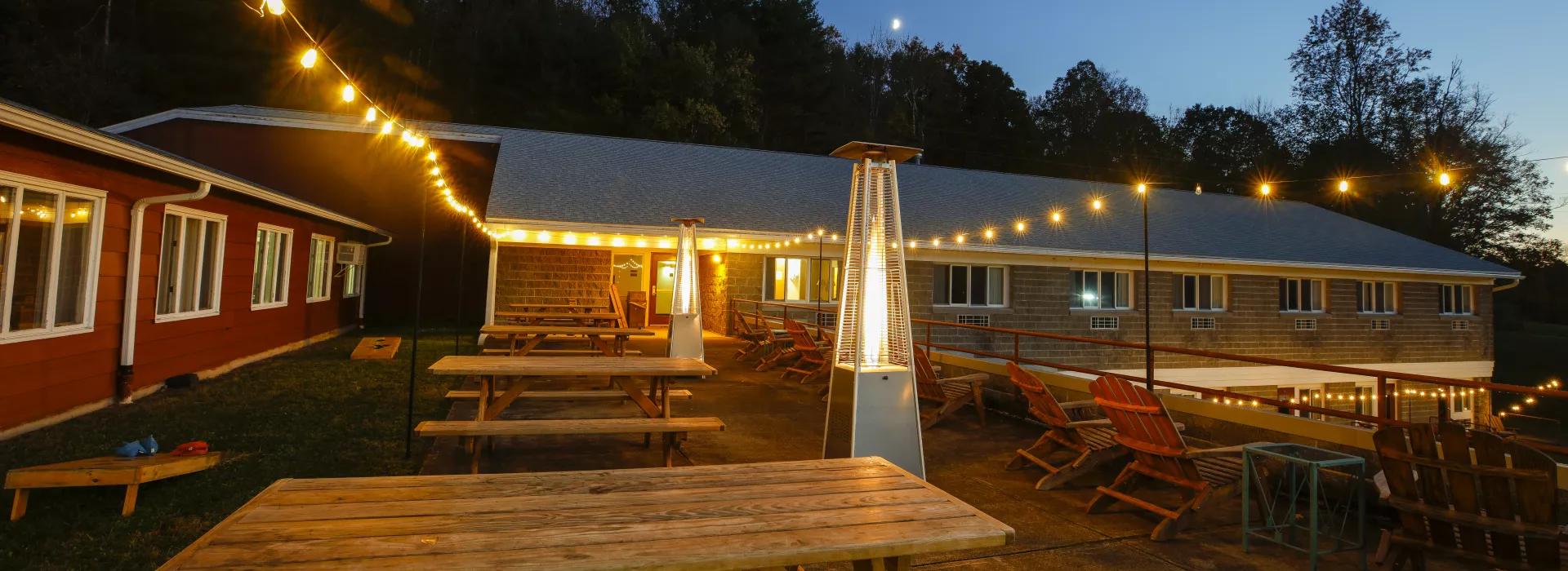 Watson Woods Night Experience